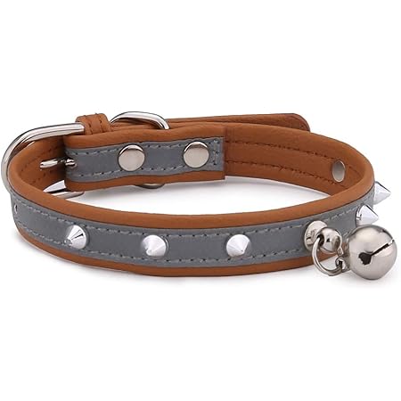 Amazon Msy Yien 猫 首輪 鈴付き 小型犬首輪 セーフティバックル 猫首輪 安全 ペット用首輪 可愛い キラキラ 長さ調節可能 猫 子犬用 ブラウン Msy Yien 首輪 通販