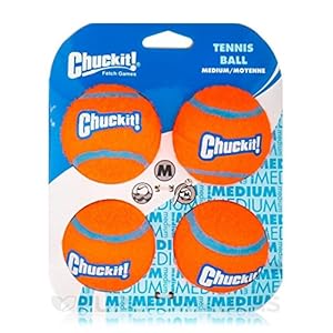Chuckitdogtennisballmedium8packallbreedsizes Urban Country Home Decor Chuckit dog tennis ball medium 8 pack all breed sizes urban country home decor