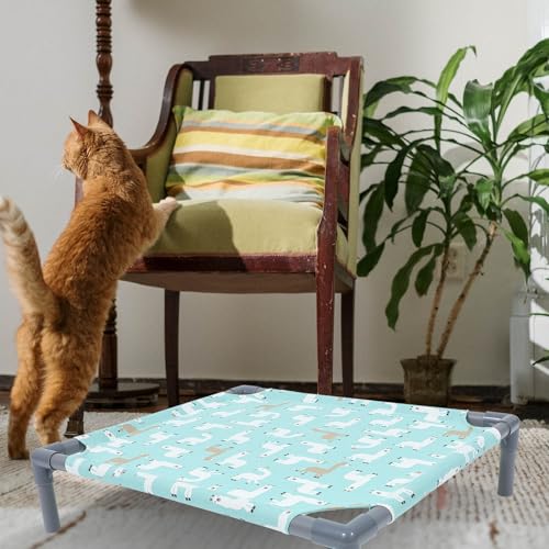Lit chat suspendu respirant pour optimiser l'espace du salon - 8