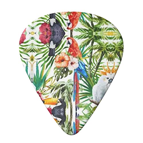 Toucans Lot de 6 médiators pour guitare acoustique, guitare électrique, basse, ukulélé - Les Beatles, Paul McCartney, John Lennon, RIngo Starr, George Harrison Toucans Lot de 6 médiators pour guitare acoustique, guitare électrique, basse, ukulélé – Image 4