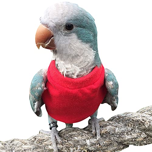 Bird Clothes - Handmade Cotton Sweater Vest Shirt Bright Color Flight Suit for Parrots African Greys Parakeet Cockatiel Sun Conure Christmas Halloween Party Cosplay Apparel Bird Supplies (2M,Red)