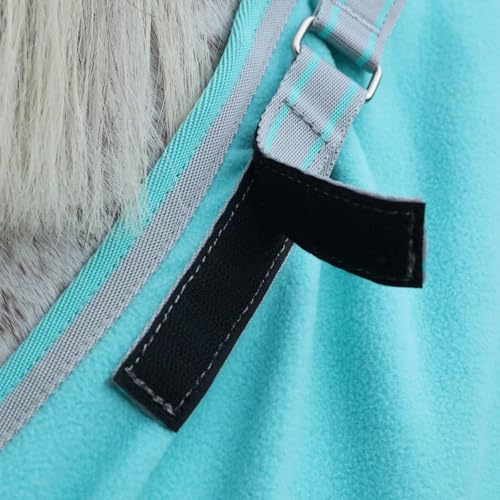 Image of LEAFOREST Horse Fleece Blanket Polar Fleece Cooler Liner Soft Exercise Blankets for Horses Moisture Wicking Sheet in the Barn, Stable, Stall, Pasture, Paddock Green 78 inches