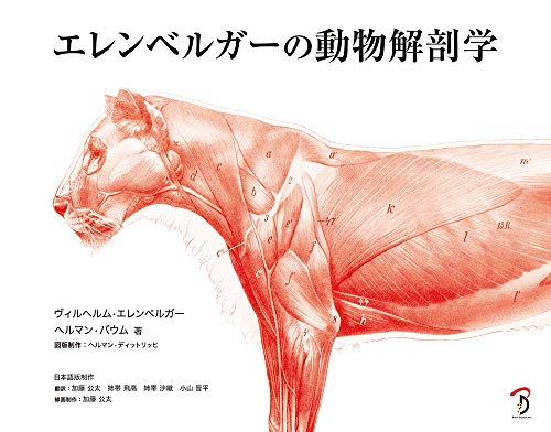 PDFダウンロード エレンベルガーの動物解剖学 バイ