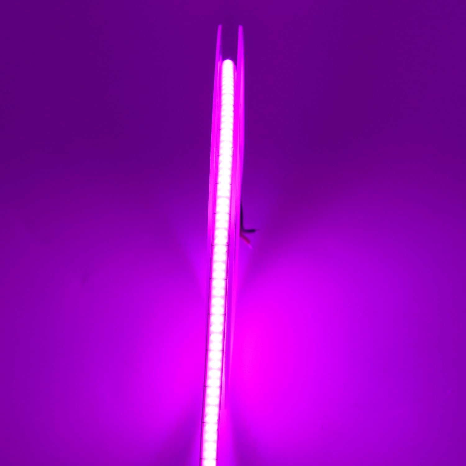 Boarda-Lighting 5mm COB LED Strip,12V 400LEDs/m RA>90 High CRI LED Tape Light,Multiple color options, Cuttable Flexible,16.4FT 2000LEDs IP30 COB LED Light for Indoor House Kitchen Room Decor (Purple)