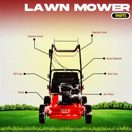 Image of RBD 6HP Petrol Lawn Mower - 18-Inch Cutting Width, 4-Stroke Engine Gas Powered Grass Cutter with Metal Deck & Heat-Treated Alloy Steel Blades - Heavy Duty Push Mower for Landscaping