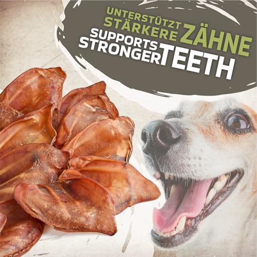 Schweineohren für Hunde 20 Stück (800g) | Ganze getrocknete Schweineohren Kauartikel | 100% natürlich | Langanhaltender Kauspaß | Getreidefrei | Ideal für kleine & große Hunde