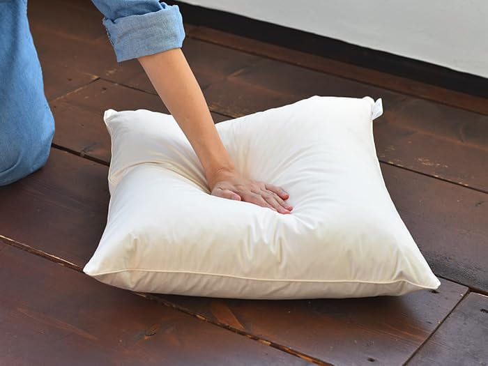 Amazon.co.jp: クッション 中身 45×45cm フェザー 100% 羽毛 ヌード