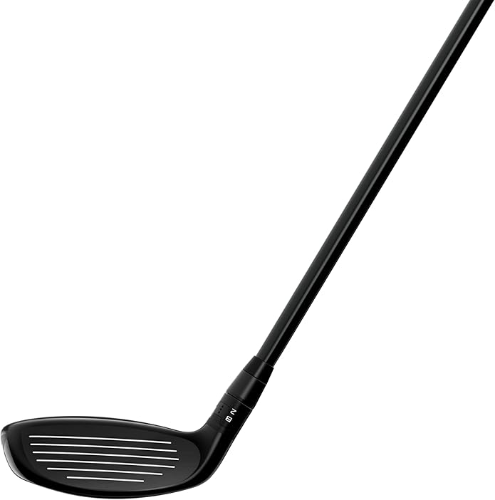 Amazon | タイトリスト(TITLEIST) TSR2 ユーティリティメタル RH Ten