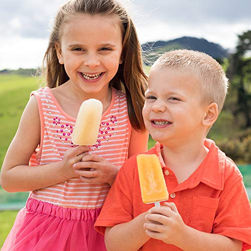 Popsicle Molds Silicone Ice Pop Maker, Morfone 6 Pieces Reusable Kids Popsicle Tray Holder BPA Free LFGB Certified Bonuses 30 Popsicle Bags, Funnel and Cleaning Brush