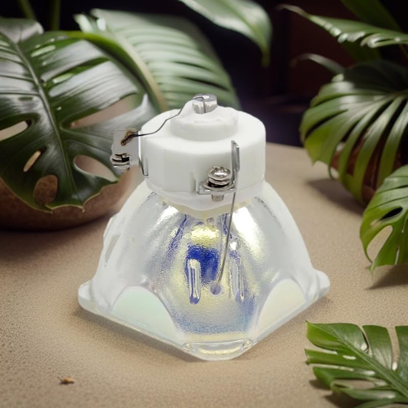 Ampoule NP-M320XS+ projecteur à haute luminosité continue