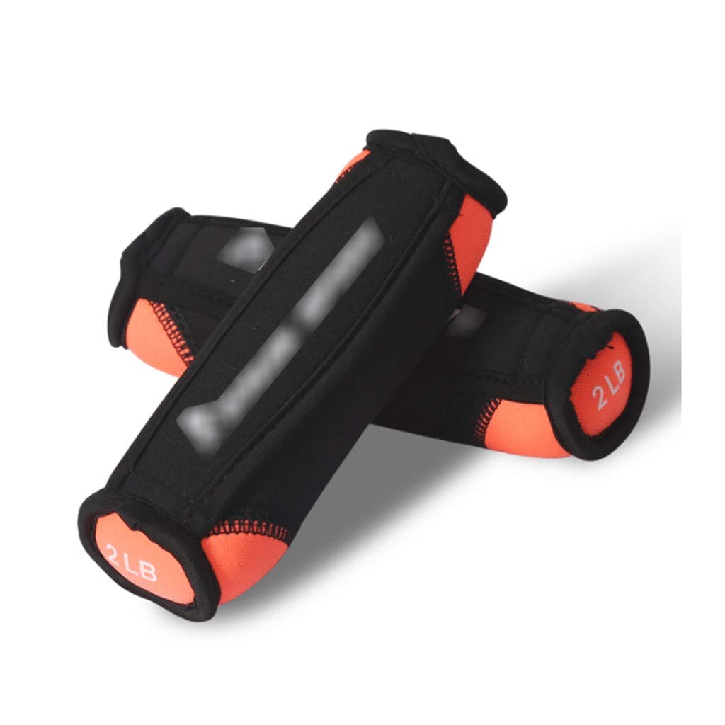 Exercise Fitness Dumbbells Colorful Sandbag Dumbbell Wearable Weight Dumbbell Running Weight Sandbag Dumbbell for Slimming and Shaping Aerobics