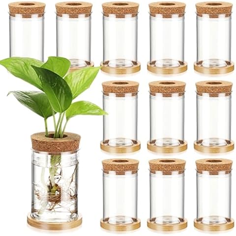 Baderke 12 Packs Plastic Desktop Vase with Hole Lid and Bamboo Stand Plant Propagation Stations Plant Growing in Water Hydroponic Home Office Table Decoration (Classic Style) Cover