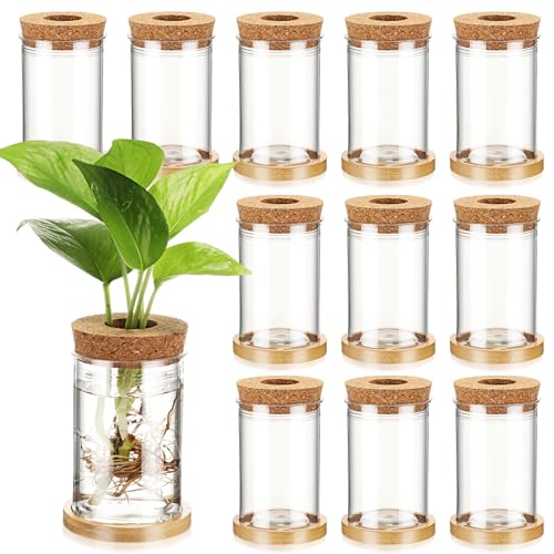 Baderke 12 Packs Plastic Desktop Vase With Hole Lid And Bamboo Stand Plant Propagation Stations Plant Growing In Water Hydroponic Home Office Table Decoration cover