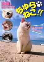 美ら猫(ちゅら猫)竹富島編 [DVD] 9jupf8b 美ら猫(ちゅら猫)竹富島編 [DVD] 9jupf8b