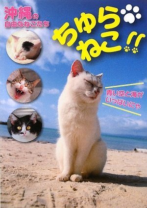無料電子書籍 アプリ ちゅらねこ!! 沖縄の自由なねこたち (TOKIMEKIねこシリーズ) バイ