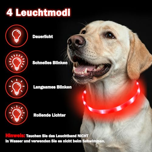 Nepfaivy Leuchthalsband Hund USB Aufladbar - Wasserdichtes Hundehalsband Leuchtend mit Verstellbarer Länge, LED Halsband für Hunde mit 4 Beleuchtungsmodi für Sicherheit, Rot
