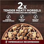 Purina ONE Natural High Protein Dry Dog Food Dry True Instinct with Real Beef and Salmon With Bone Broth and Added Vitamins, Minerals and Nutrients - 27.5 lb. Bag - Image 2