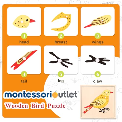Image of Montessori Bird Anatomy Puzzle, Wooden Body Parts Learning Toy, Preschool Science Puzzle for Kids Ages 3-6, Classroom & Homeschool, Baltic Birch