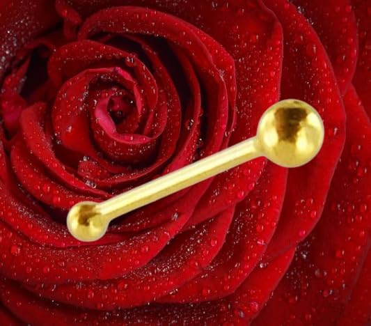 Generisch Nasenpiercing 585er Echt Gold Goldstecker Nasenstecker 0,6 x 6 x 1,4 mm Schmuck Goldpiercing Kugel Stab Gerade Gelbgold 14 Karat Piercing 585 Echtgold Extravagant Exklusiv 46001