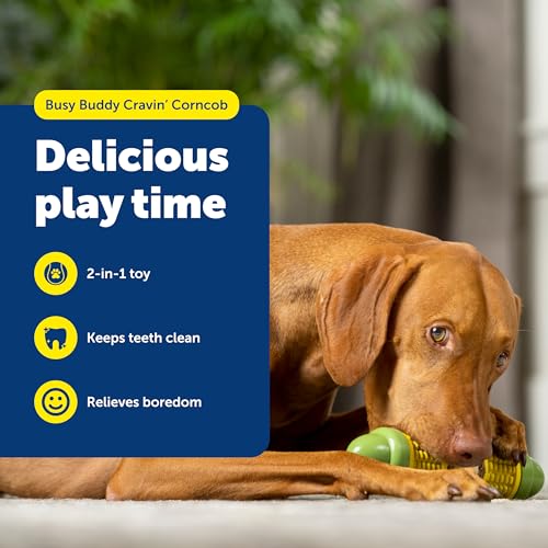 PetSafe Busy Buddy Cravin Corncob Dog Toys Treat Ring Holding Chew Toy BPA Free Rubber Butter Scented Interactive Pet Puzzle for Boredom or Separation Anxiety Small to Large Dogs by PetSafe - Image 2