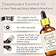 Greenwood Essential Naturreine Chaulmoogra-Öl (Hydnocarpus wightiana) Kaltgepresst 30ml (1 oz)