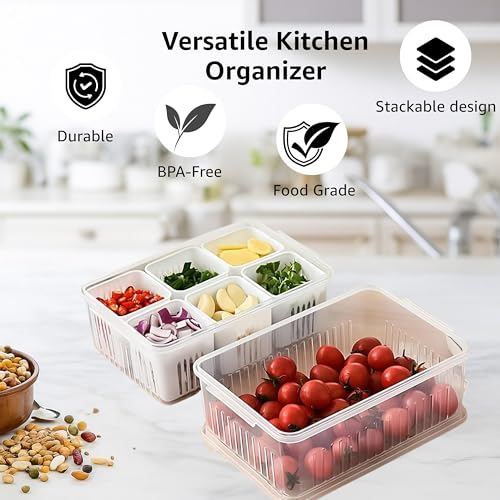 Image of Amazon Brand - Solimo Plastic Fridge Containers Set | 6-Grid Airtight Refrigerator Storage Boxes with Lids | Freezer & Kitchen Organizer (Pack of 2, White)