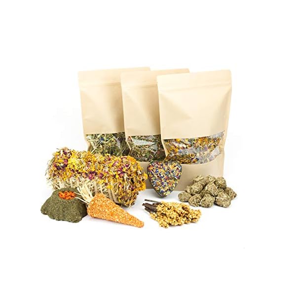 Mr. Crumble Dried Pet Food XXL Struktur-Futter-Set getreidefrei für Kaninchen, Meerschweinchen und andere Nager mit Futter und Leckerlies