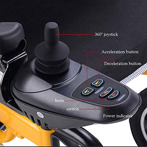 DLY Sedia a Rotelle Ausiliaria per Disabili con