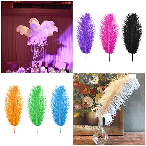 Be In Your Mind 15pcs Natural Ostrich Feathers Mixed Colorful Feathers 25-30cm for DIY Craft Art Design Non-Toxic Odourless Dream Catchers Wedding Party Home Decoration - Image 4
