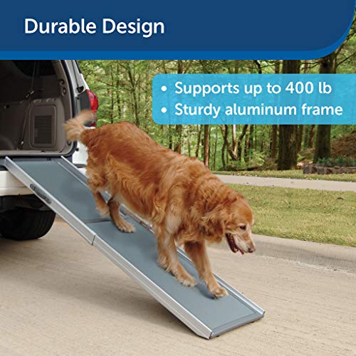 4 Best Dog Ramps for Cars UK [Top Picks & Guide 2022]