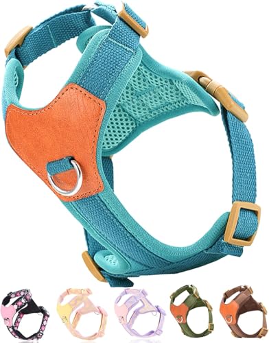 No Pull Harness and Leash Set Front Clip Harness Medium Sized Training Harness Easy Walk Harness for Small Medium Harness (Blue S)