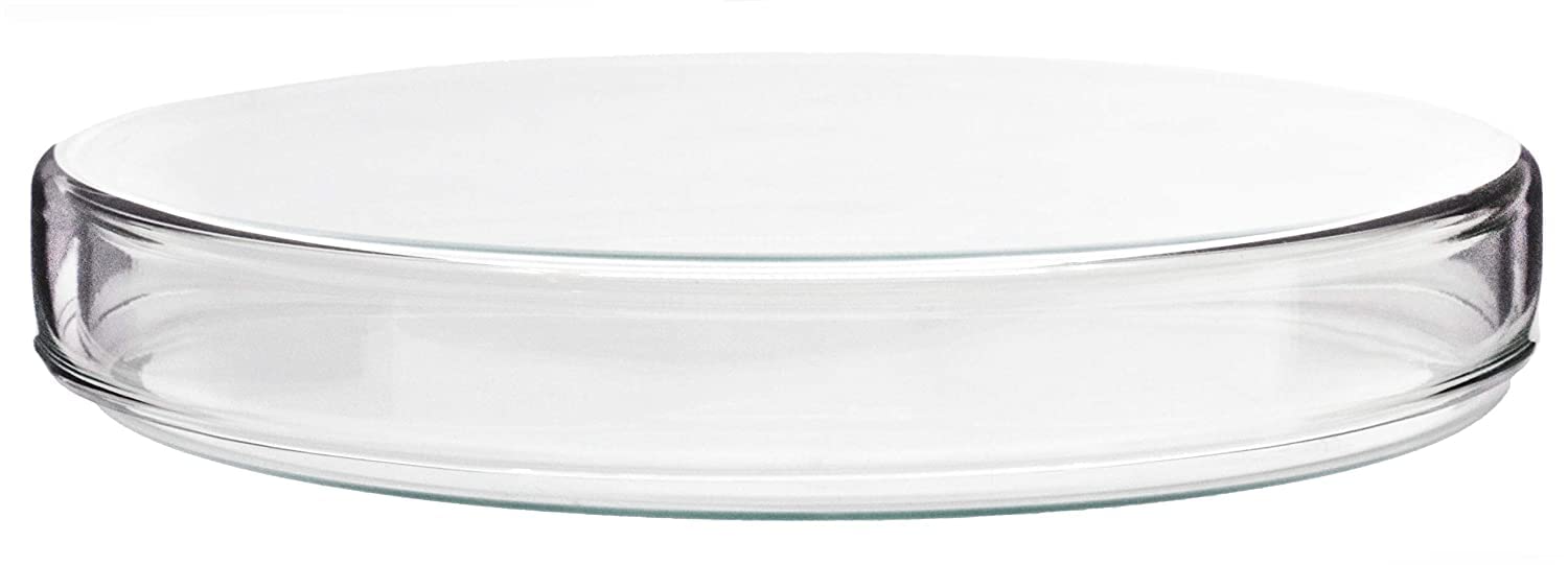 ECNEICS Borosilicate Glass Petri dish - 100 mm Pack of 5 (B0CKFBMCQQ) Amazon Price History, Amazon Price Tracker