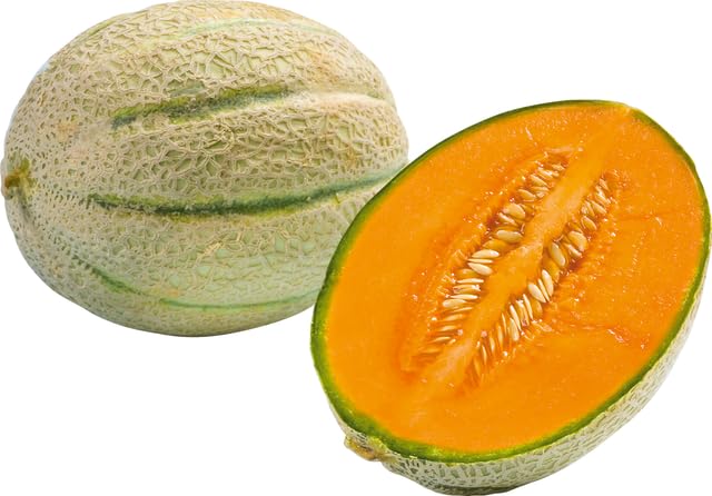 Frische-Cantaloupemelone