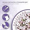 Beaphar No stress, collare calmante alla Valeriana per cani, riduce lo stress e i problemi comportamentali, 1 collare 65 cm Grigio