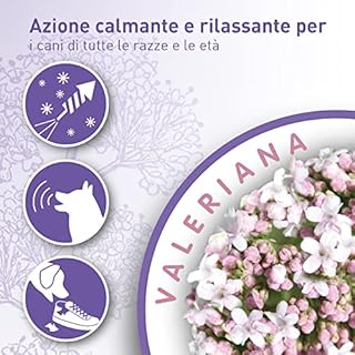 Beaphar No stress, collare calmante alla Valeriana per cani, riduce lo stress e i problemi comportamentali, 1 collare 65 cm Grigio