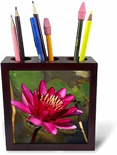 3dRose 228264 PH 1 5 Magenta Water Lily-Platte mit Halter