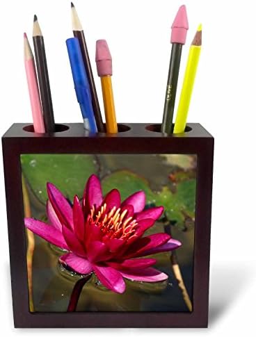 3dRose 228264 PH 1 5 Magenta Water Lily-Platte mit Halter