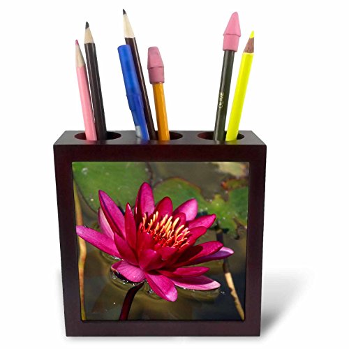 Nénuphar magenta porte-stylo décoratif 3drose une idée cadeau originale et fleurie