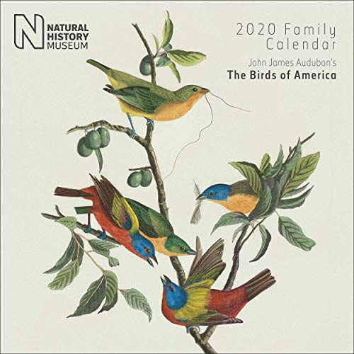 Natural History Museum - Calendario de pared familiar cuadrado de The Birds of America 2020, de John James Audubon
