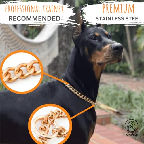 Image of PAWPRO HANDMADE Personalized Gold Chain Collar with Customizable Bone Shape Pet Id Tag for Large Medium Dog and Small Puppy (Small (15-20 inches))