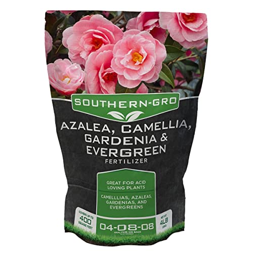 Best Fertilizer for Azaleas in 2024 Enhance Your Garden’s Beauty