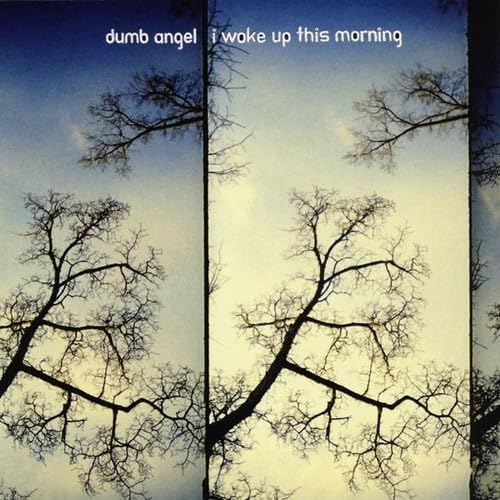 I Woke Up This Morning [Audio CD] Dumb Angel
