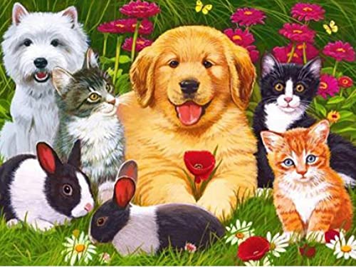 Point de croix kit complet chiot pour créer une décoration intérieure faite main