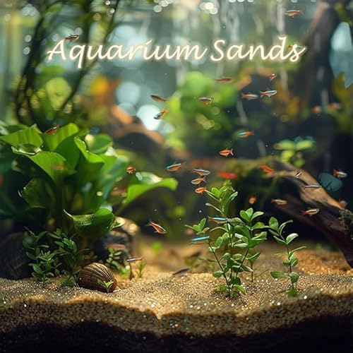 Image of Natural River Sand | Plants Soil Mix Additive Adenium Cactus Succulent Bonsai | Fire Pits, Garden Landscaping, Decorative Sand for Vase Filler, Candle, Wedding, Home Decor & Crafts (900 gm)
