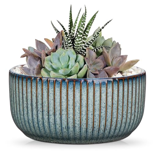Oairse Keramik Gerippter Übertopf,Bonsai Keramiktopf mit Drainageloch-Untersetzern für Zimmerpflanzen, Retro-Dekoration für Gartenbehälter-Sets im Freien, Blau, Durchmesser Öffnung 14cm Oairse Keramik Gerippter Übertopf,Bonsai Keramiktopf mit Drainageloch-Untersetzern für Zimmerpflanzen, Retro-Dekoration für Gartenbehälter-Sets im Freien, Blau, Durchmesser Öffnung 14cm