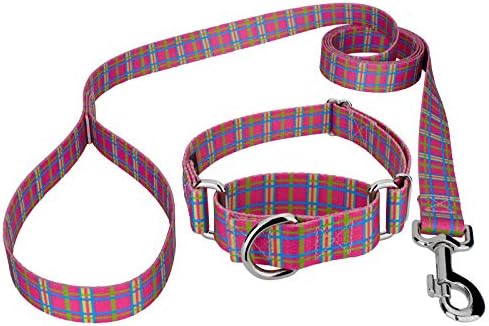 Country Brook Petz - Bubblegum Pink Plaid Martingale Dog Collar and Leash - Plaid and Argyle Collection with 9 Charming Designs (5/8 Inch, Small)