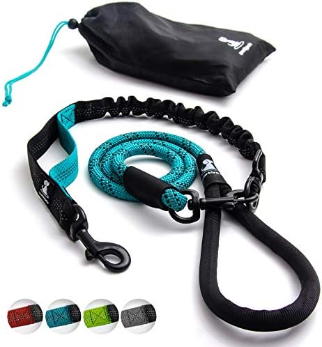 Best bungee leash for dogs Clearance