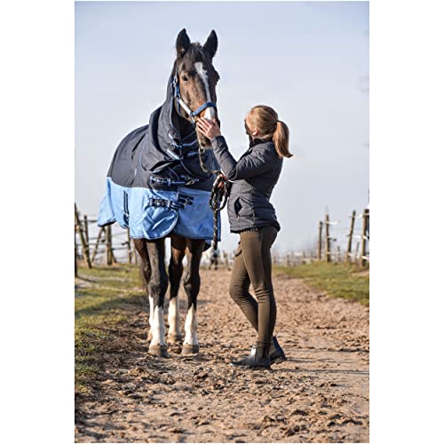 Foto von RL24 - Weidedecke Full Neck Basicline 600D Nylonfutter mit Füllung | Pferde Winterdecke | wasserdichte Outdoordecke mit Kreuzbegurtung | Pferdedecke in blau/Babyblau | Größe 135 cm (100g/m²)