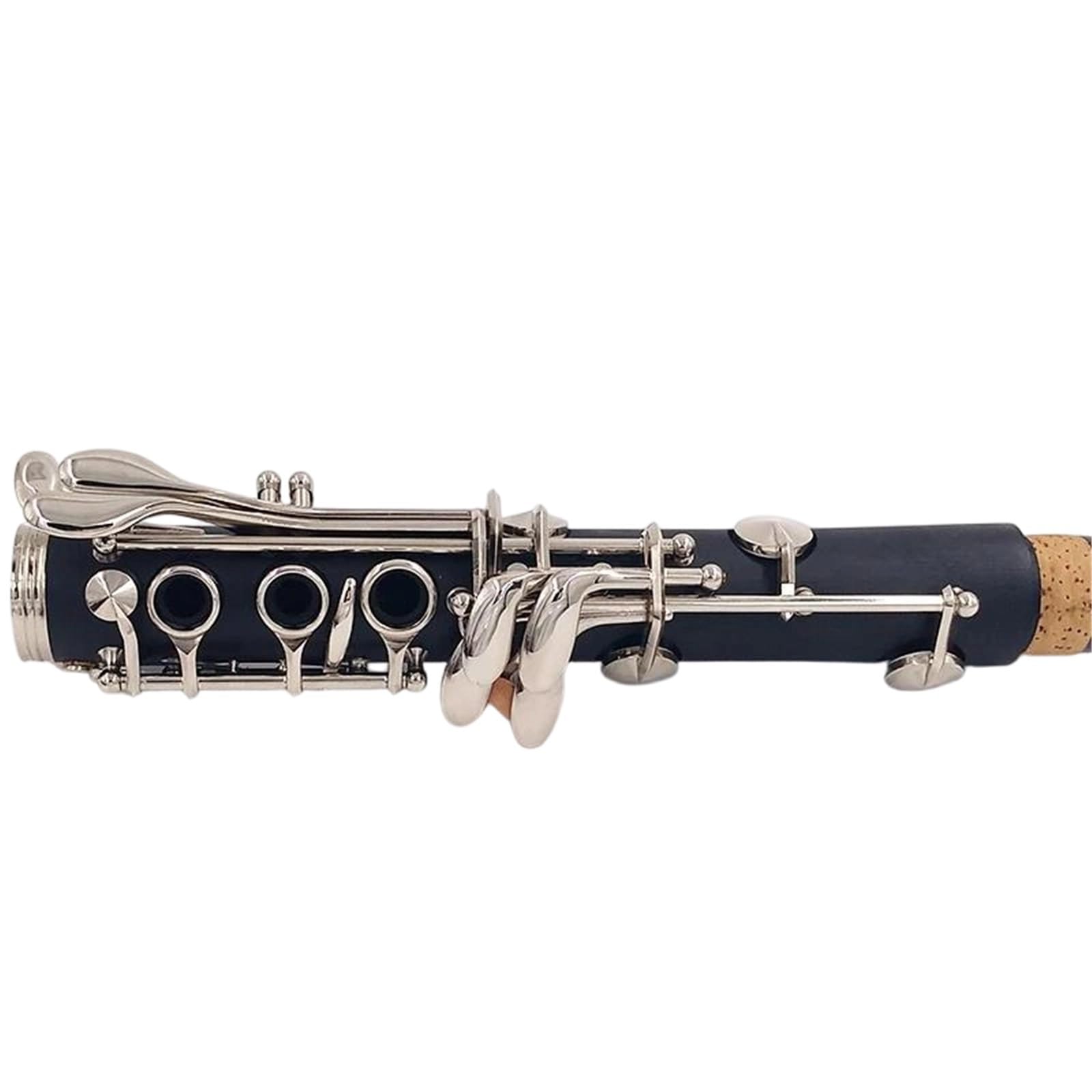 Gli Amanti Della Musica Per Principianti Di Clarinetto Professionale In Chiave C Si Esercitano A Suonare