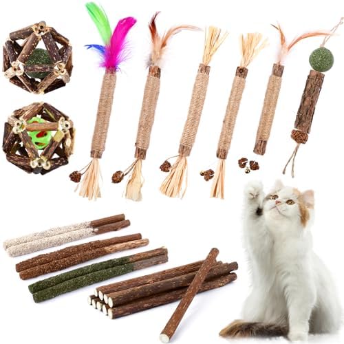 WOUSEDO Catnip Chew Toys for Cats,24 Pack silvervine cat